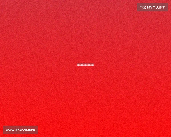 申鑫队赛事—申鑫转会申花